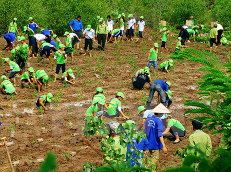 Trồng rừng ngập mặn tại Bạc Liêu.